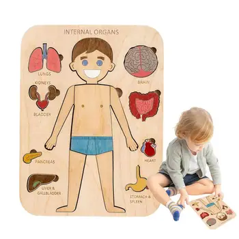 Corpul uman Puzzle din Lemn Montessori Jucarii Educative Baieti Fete Anatomie Set Joc de Puzzle Bord pentru Copii Cadouri