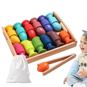 Montessori Ceașcă de Ou Jucărie de Culoare Sortare Părinte-Copil Interactive de Învățare Timpurie Jucărie Pentru a Îmbunătăți Hands-on de Capacitatea Montessori